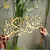 Dua for Protection Acrylic Islamic Wall Art Gold UAE