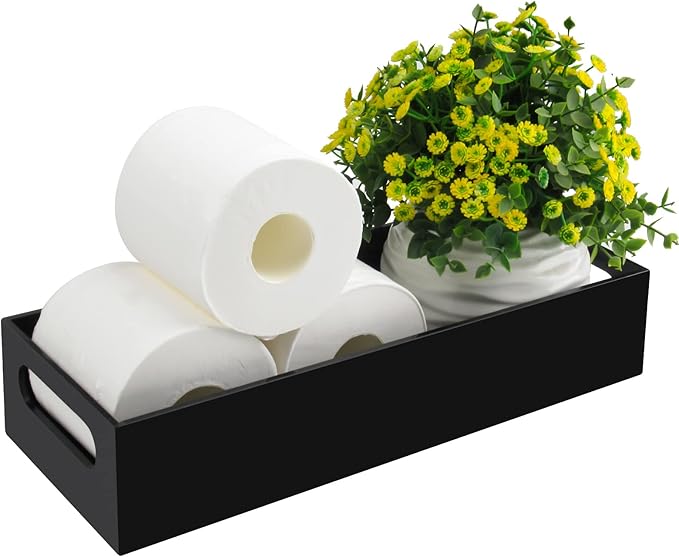 Acrylic Toilet Paper Holder with Storage