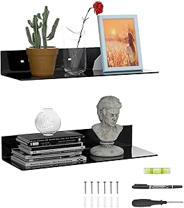 Set of 2 Black Acrylic Wall Shelves