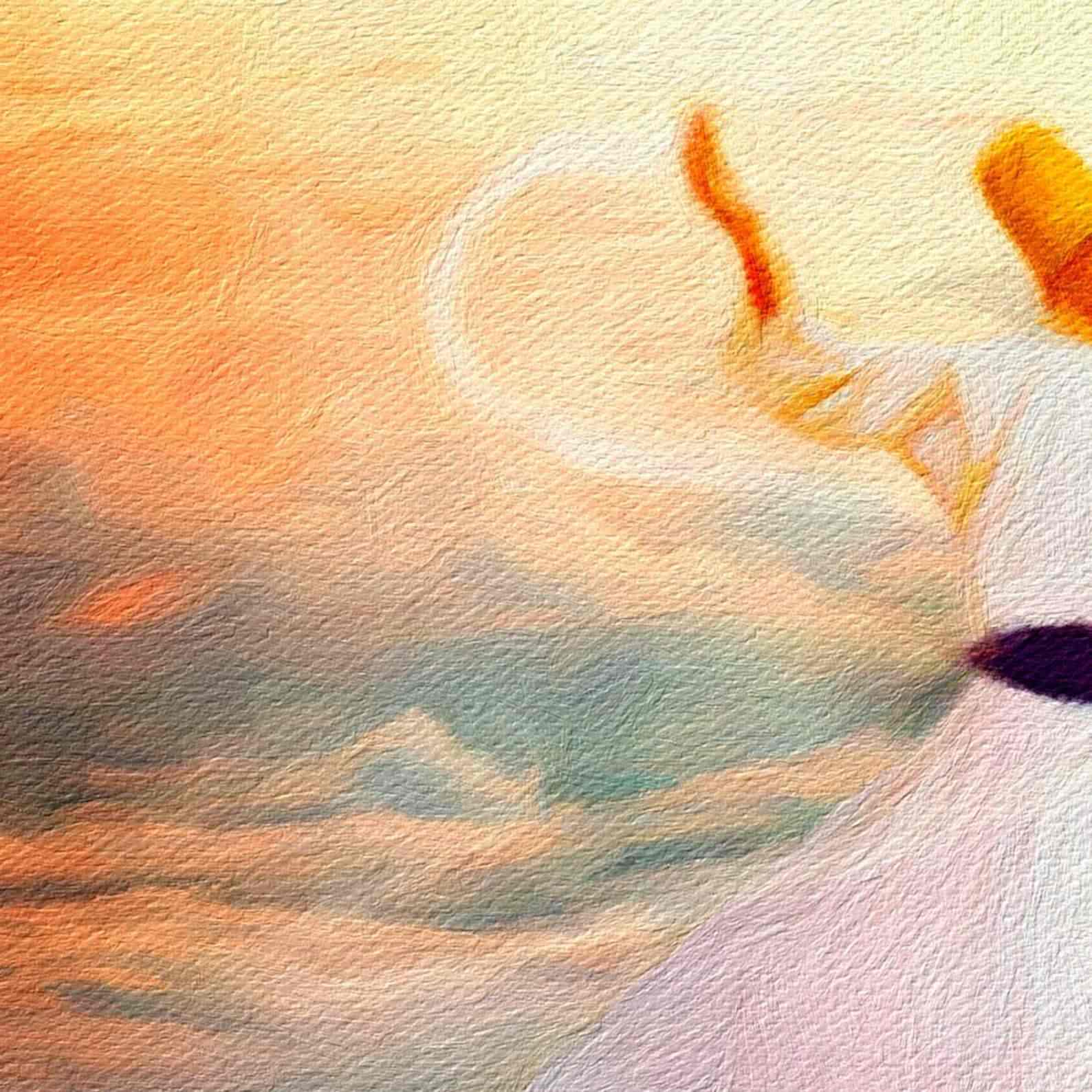 Islamic Canvas Printing - Whirling Dervish